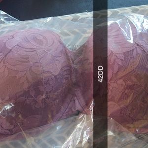 42DD torrid push-up bra